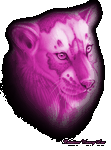 pic for pink tiger